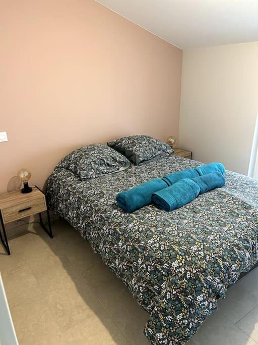 Le Cosy Grenier De Pauline Et Flo Apartment Cessenon-sur-Orb Ngoại thất bức ảnh