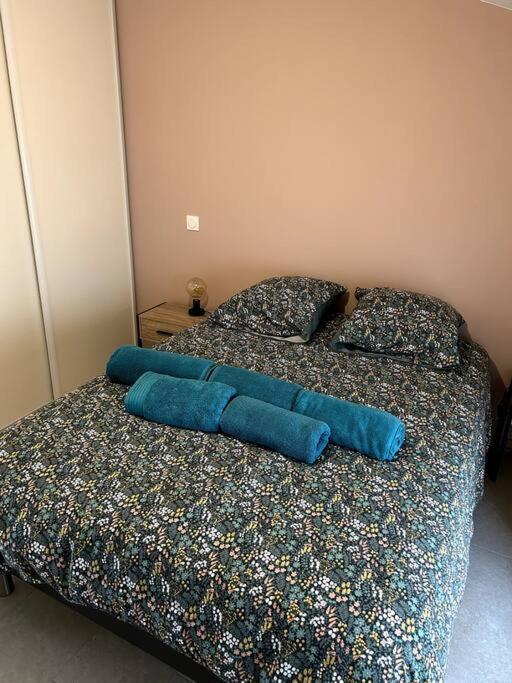 Le Cosy Grenier De Pauline Et Flo Apartment Cessenon-sur-Orb Ngoại thất bức ảnh